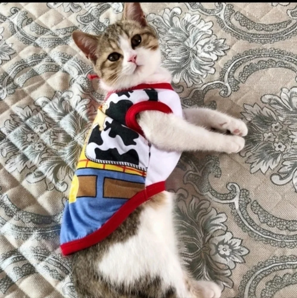 Disney Pets Woody Toy Story Costume‎ T-shirt Dog Clothes Dog Costume